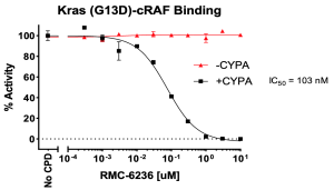 Kras (G13D)/cRAF/CYPA/Inhibitor Assay Kit 
